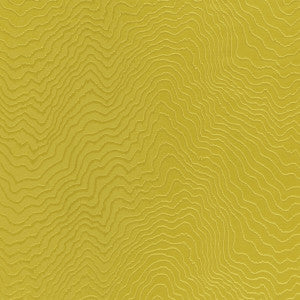 Fiji Citrus by Clarke And Clarke Fabric