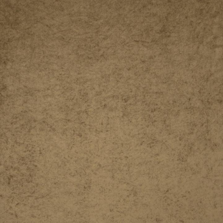 Regal Antique by Clarke And Clarke Fabric CLARKE & CLARKE REGAL TREVIRA - 100% Turkey HEAVY Horizontal: 0 and Vertical: 0 55 - Fabric Carolina -