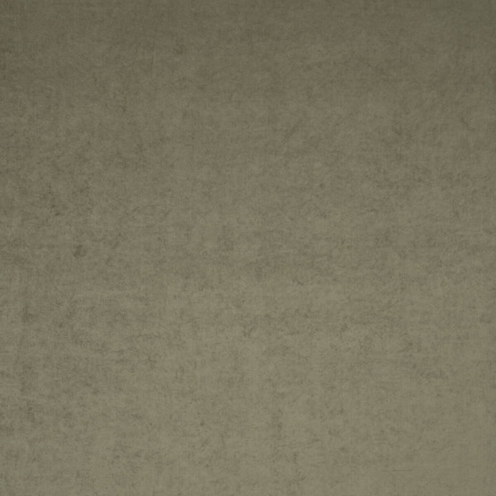 Regal Beaver by Clarke And Clarke Fabric Clarke And Clarke Fabric Regal BeaverFabric CLARKE & CLARKE REGAL TREVIRA - 100% Turkey </p><p>Repeat: H: 0, V: 0 55 - Fabric Carolina -