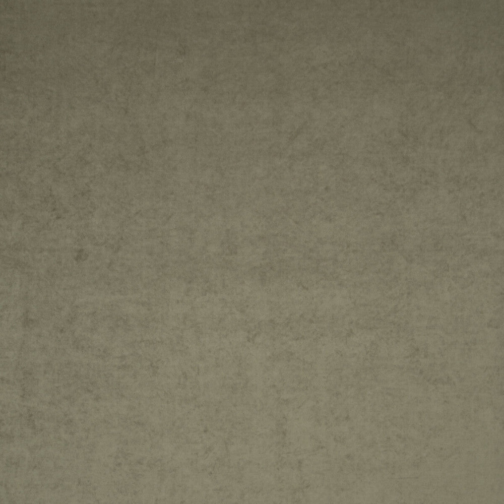 Regal Beaver by Clarke And Clarke Fabric CLARKE & CLARKE REGAL TREVIRA - 100% Turkey HEAVY Horizontal: 0 and Vertical: 0 55 - Fabric Carolina -