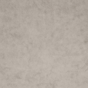 Regal Birch by Clarke And Clarke Fabric