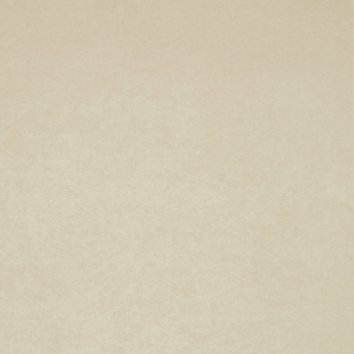 Regal Cream by Clarke And Clarke Fabric CLARKE & CLARKE REGAL TREVIRA - 100% Turkey HEAVY Horizontal: 0 and Vertical: 0 55 - Fabric Carolina -