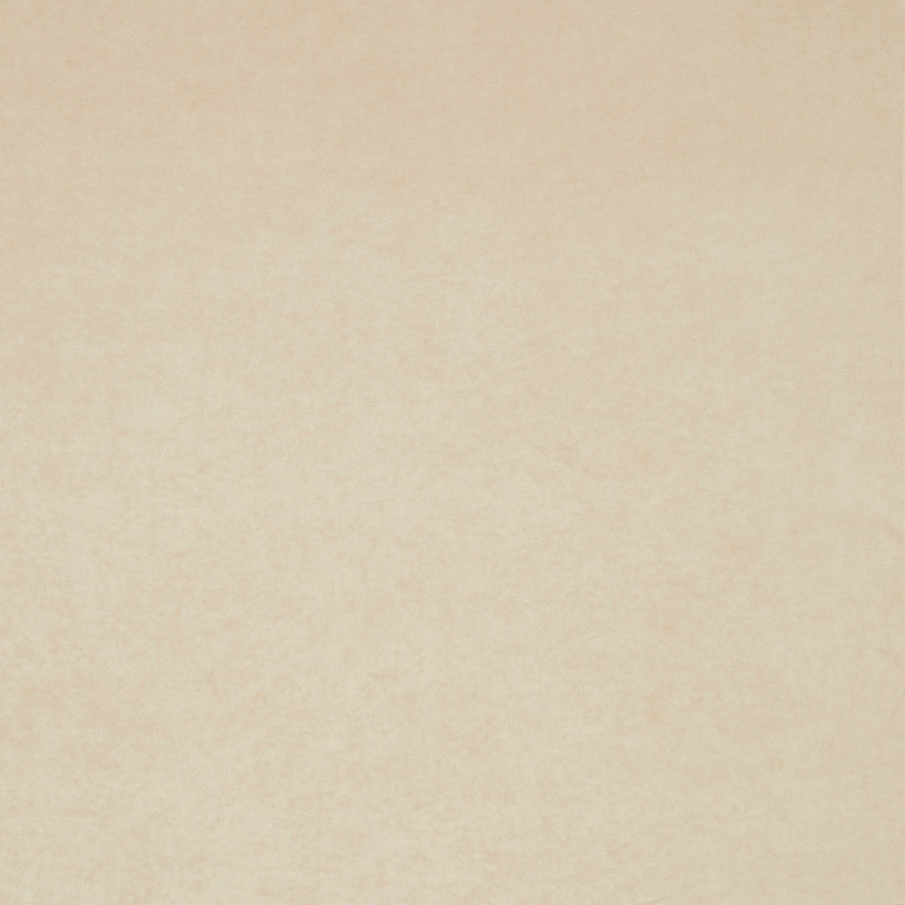 F0979 11 Regal Cream by Clarke and Clarke Fabric CLARKE & CLARKE TREVIRA - 100% Turkey HEAVY Horizontal: 0 and Vertical: 0 55  - Fabric Carolina -