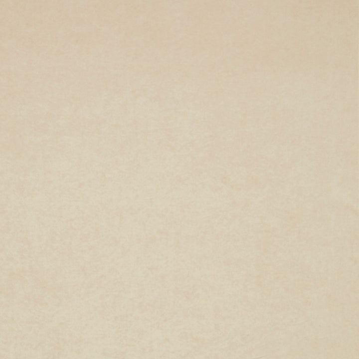 F0979 11 Regal Cream by Clarke and Clarke Fabric CLARKE & CLARKE TREVIRA - 100% Turkey HEAVY Horizontal: 0 and Vertical: 0 55  - Fabric Carolina -