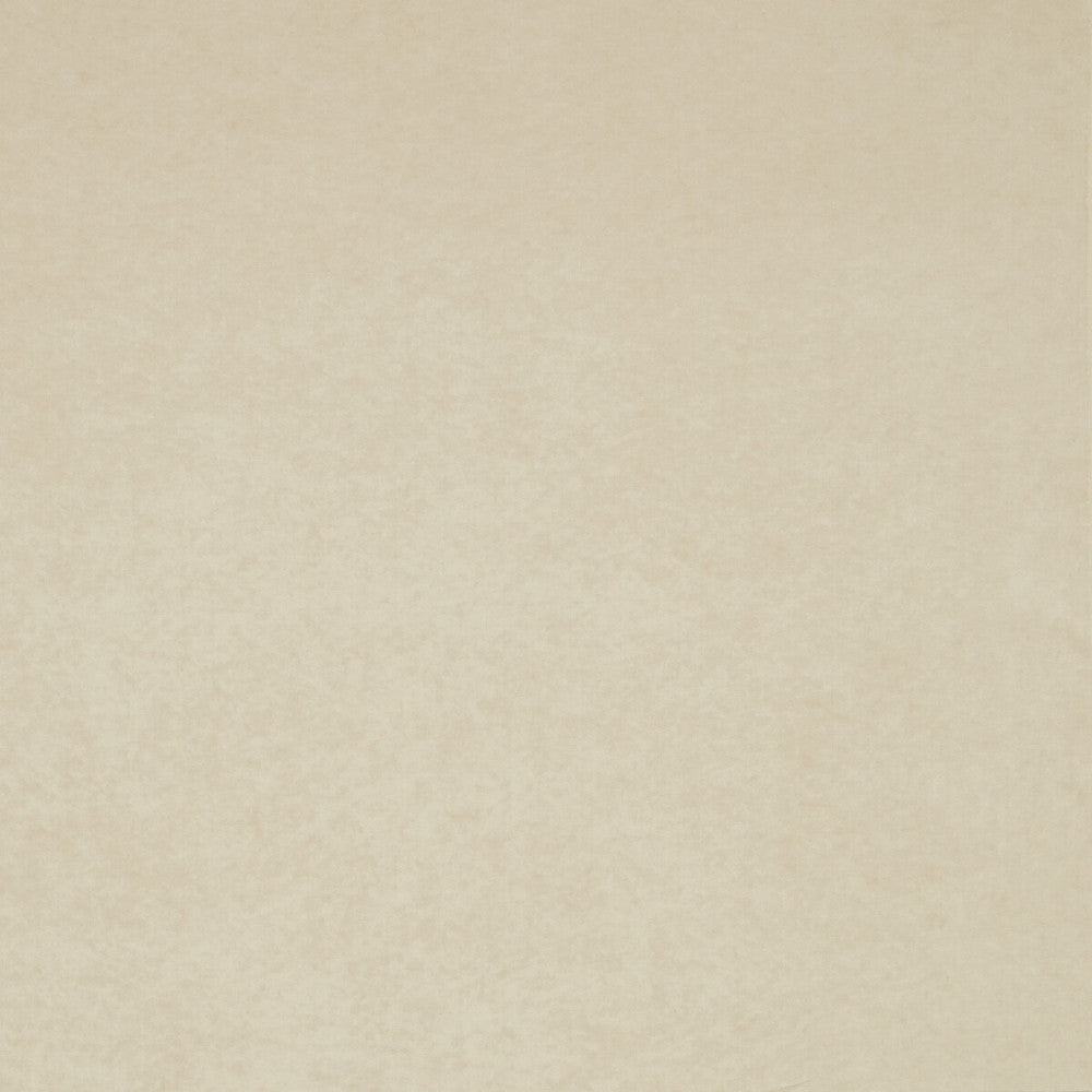 Regal Cream by Clarke And Clarke Fabric CLARKE & CLARKE REGAL TREVIRA - 100% Turkey HEAVY Horizontal: 0 and Vertical: 0 55 - Fabric Carolina -