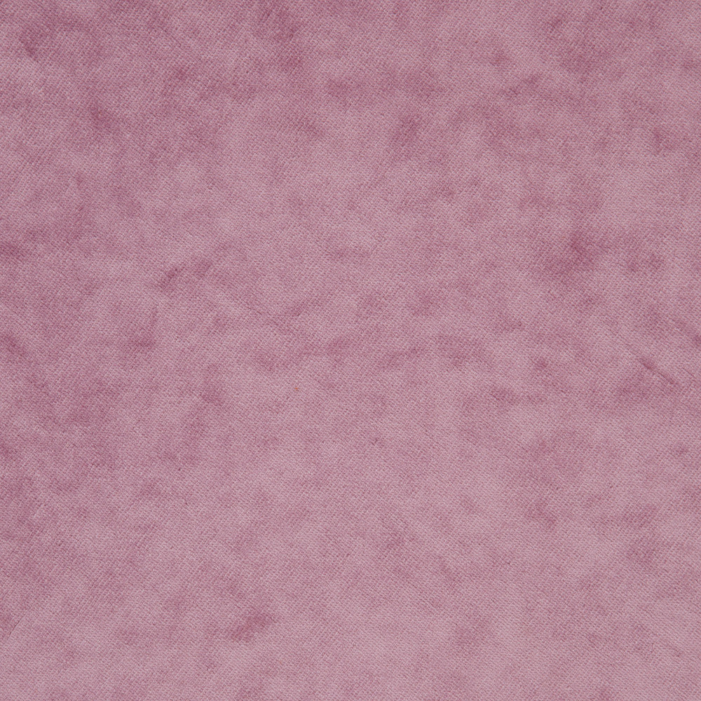 F0979 26 Regal Rose by Clarke and Clarke Fabric CLARKE & CLARKE TREVIRA - 100% Turkey HEAVY Horizontal: 0 and Vertical: 0 55  - Fabric Carolina -