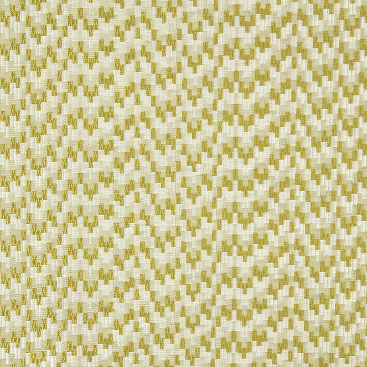 Giacomo Olive by Clarke And Clarke Fabric CLARKE & CLARKE CIPRIANI POLYESTER - 100% India HEAVY Horizontal: 6.85 and Vertical: 0.75 54 - Fabric Carolina -