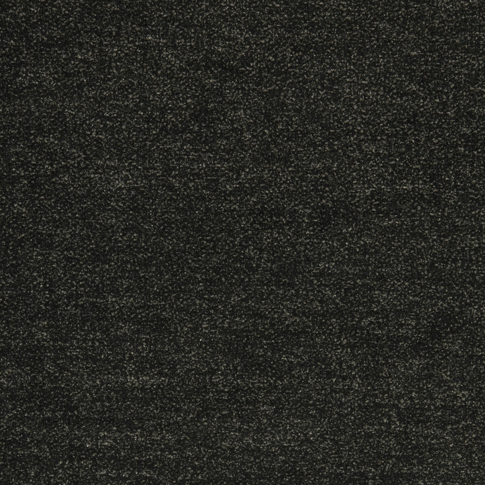 Massimo Charcoal by Clarke And Clarke Fabric CLARKE & CLARKE CIPRIANI POLYESTER - 52%;VISCOSE - 36%;COTTON - 12% India HEAVY Horizontal: 0 and Vertical: 0 54 - Fabric Carolina -