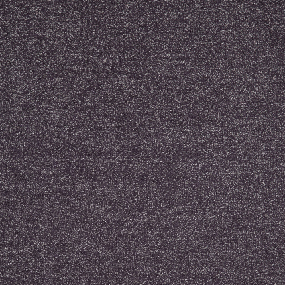 Massimo Damson by Clarke And Clarke Fabric CLARKE & CLARKE CIPRIANI POLYESTER - 52%;VISCOSE - 36%;COTTON - 12% India HEAVY Horizontal: 0 and Vertical: 0 54 - Fabric Carolina -