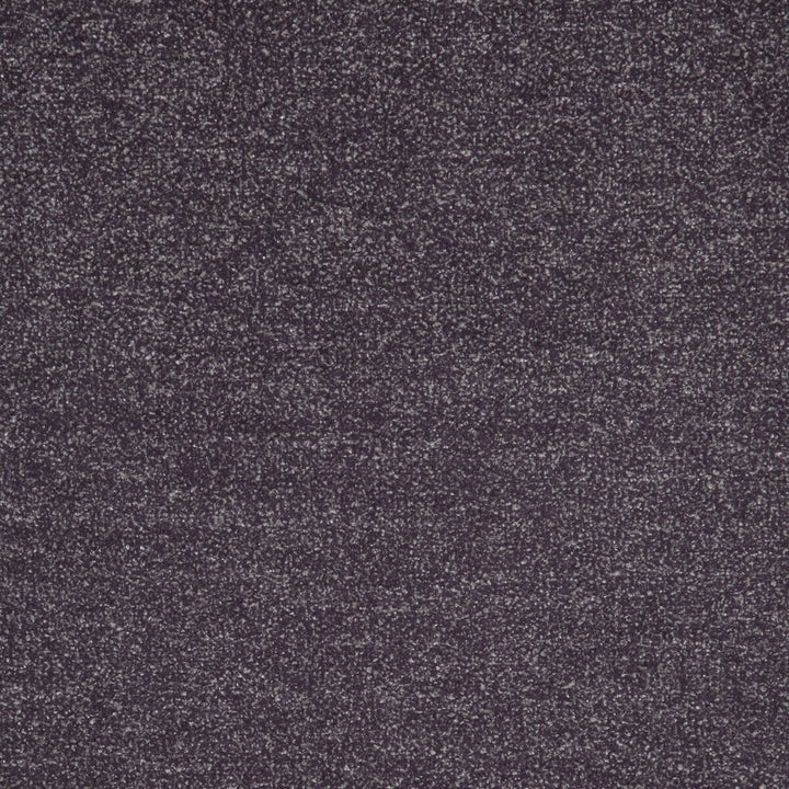 Massimo Damson by Clarke And Clarke Fabric CLARKE & CLARKE CIPRIANI POLYESTER - 52%;VISCOSE - 36%;COTTON - 12% India HEAVY Horizontal: 0 and Vertical: 0 54 - Fabric Carolina -