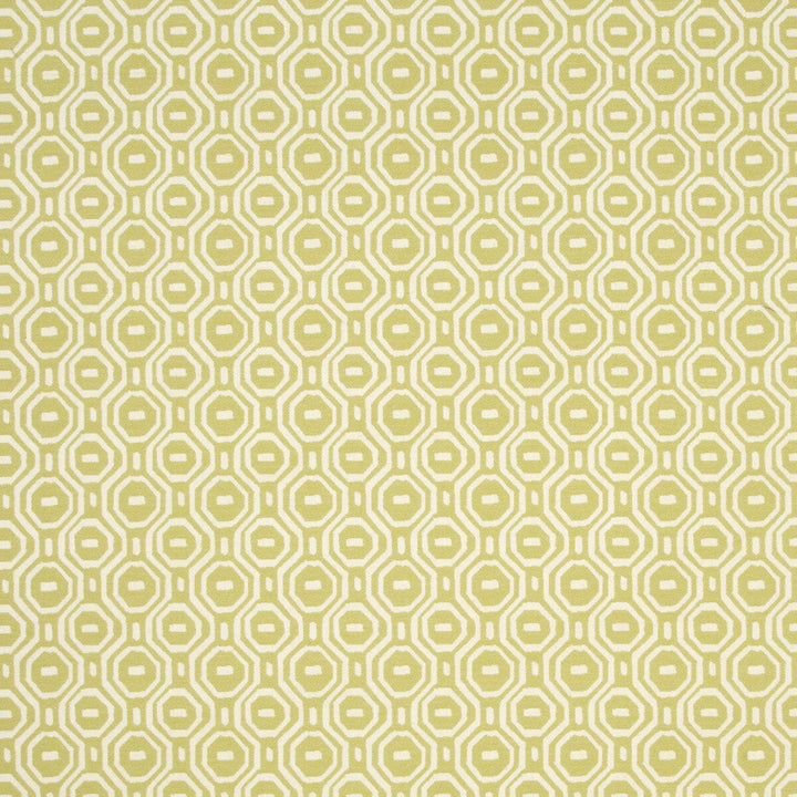 Gotska Olive by Clarke And Clarke Designer Fabric CLARKE & CLARKE WILDERNESS POLYESTER - 75%;COTTON - 25% India HEAVY Horizontal: 3.35 and Vertical: 3.15 51 - Swanky Fabrics -