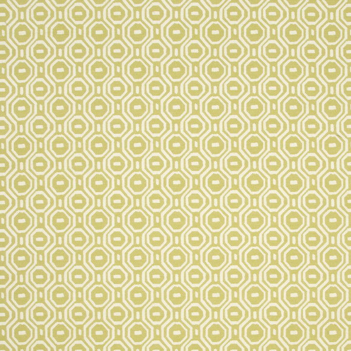Gotska Olive by Clarke And Clarke Fabric CLARKE & CLARKE WILDERNESS POLYESTER - 75%;COTTON - 25% India HEAVY Horizontal: 3.35 and Vertical: 3.15 51 - Fabric Carolina -