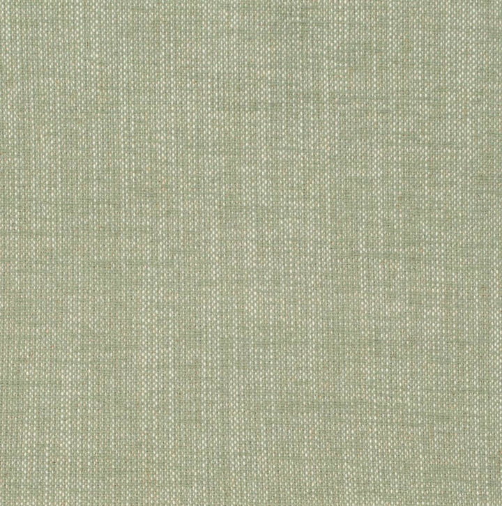 F100-131 by Charlotte Fabric