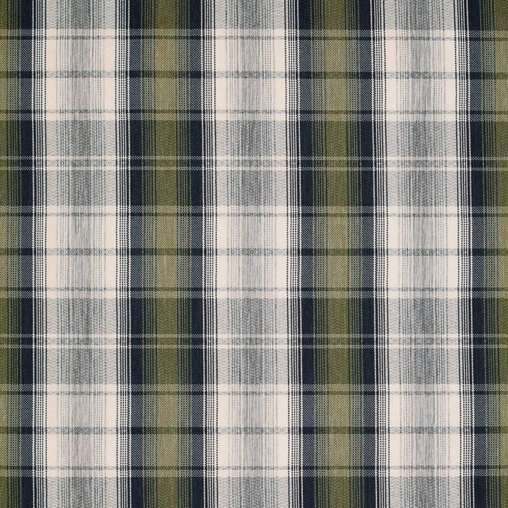 F100-145 by Charlotte Designer Fabric Cypress 79% Olefin, 21% Polyester USA </p><p>Repeat: Horizontal 7" x Vertical 7" 54 Inches - Swanky Fabrics -