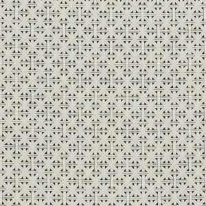 Cabana Charcoal by Clarke And Clarke Fabric