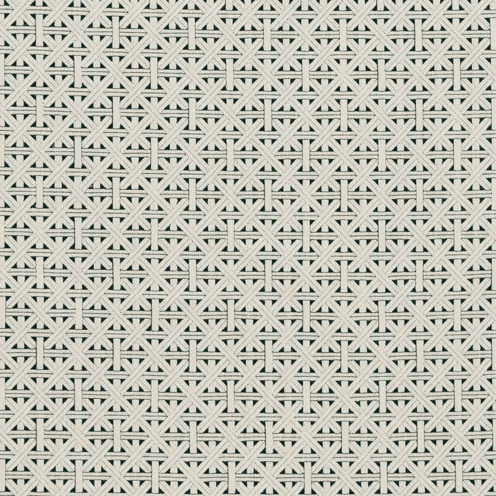 Cabana Charcoal by Clarke And Clarke Fabric CLARKE & CLARKE COLONY VISCOSE - 83%;LINEN - 12%;POLYAMIDE - 5% Morocco HEAVY Horizontal: 2.28 and Vertical: 2.36 55 - Fabric Carolina -