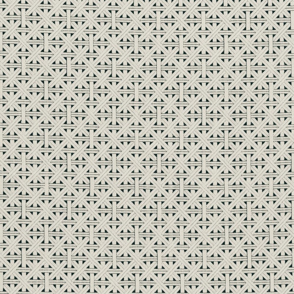 Cabana Charcoal by Clarke And Clarke Fabric CLARKE & CLARKE COLONY VISCOSE - 83%;LINEN - 12%;POLYAMIDE - 5% Morocco HEAVY Horizontal: 2.28 and Vertical: 2.36 55 - Fabric Carolina -