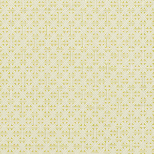 Cabana Citron by Clarke And Clarke Fabric