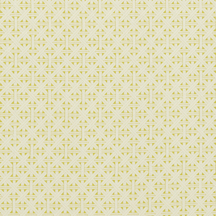 Cabana Citron by Clarke And Clarke Fabric CLARKE & CLARKE COLONY VISCOSE - 83%;LINEN - 12%;POLYAMIDE - 5% Morocco HEAVY Horizontal: 2.28 and Vertical: 2.36 55 - Fabric Carolina -