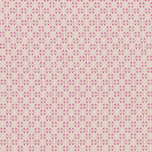 Cabana Fuchsia by Clarke And Clarke Fabric