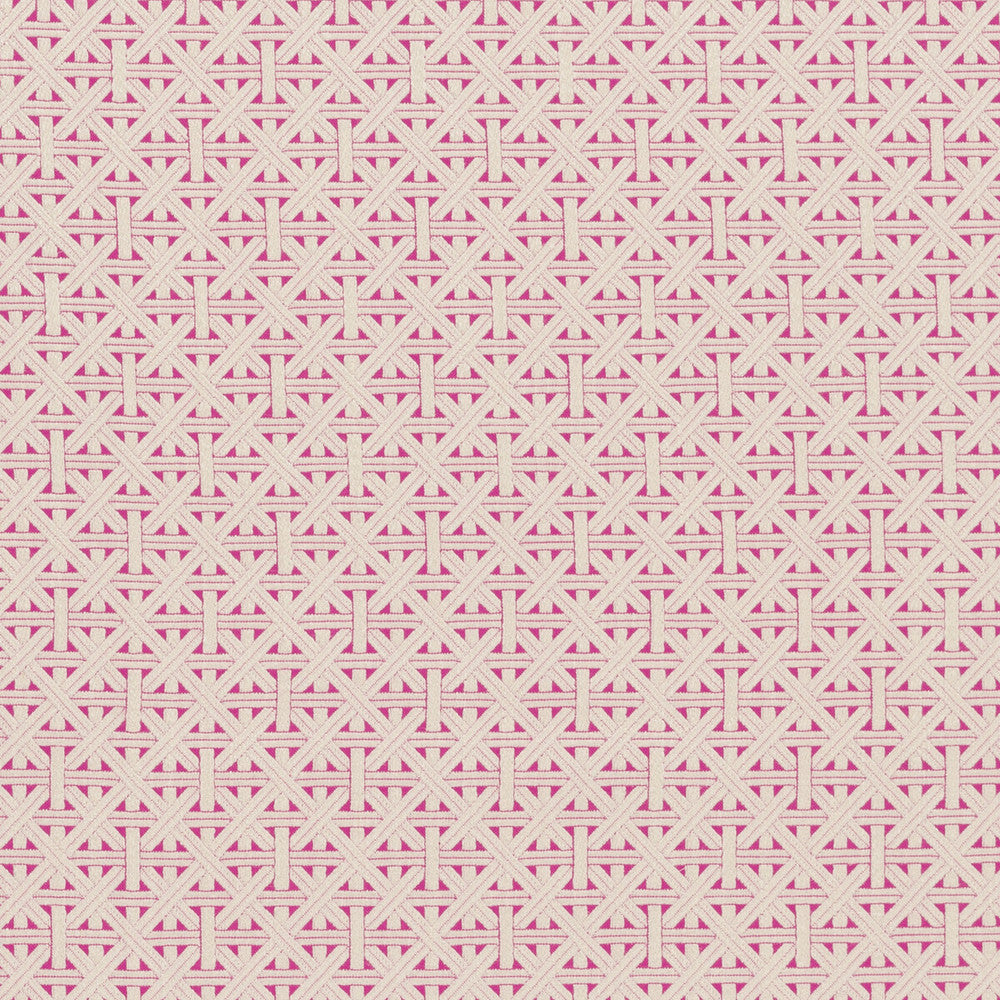 Cabana Fuchsia by Clarke And Clarke Fabric CLARKE & CLARKE COLONY VISCOSE - 83%;LINEN - 12%;POLYAMIDE - 5% Morocco HEAVY Horizontal: 2.28 and Vertical: 2.36 55 - Fabric Carolina -