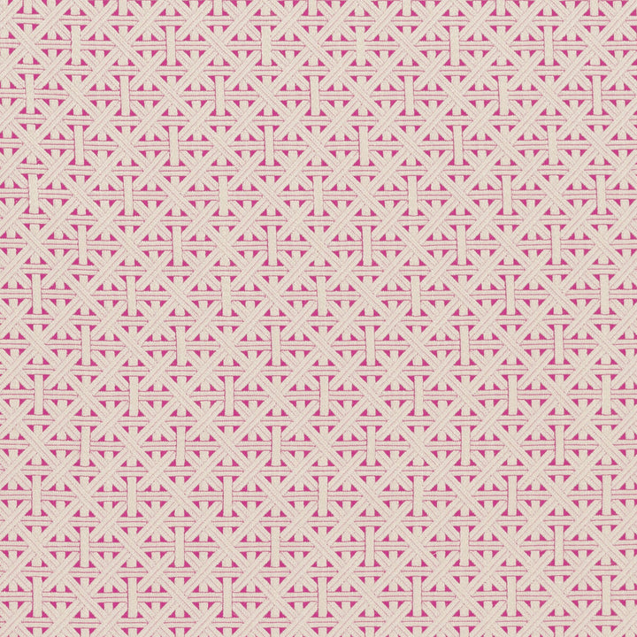Cabana Fuchsia by Clarke And Clarke Fabric CLARKE & CLARKE COLONY VISCOSE - 83%;LINEN - 12%;POLYAMIDE - 5% Morocco HEAVY Horizontal: 2.28 and Vertical: 2.36 55 - Fabric Carolina -