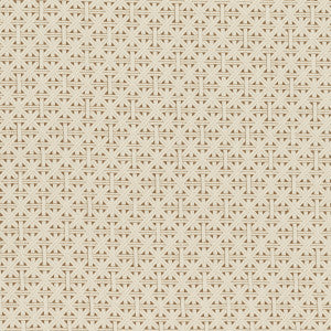 Cabana Harvest by Clarke And Clarke Fabric