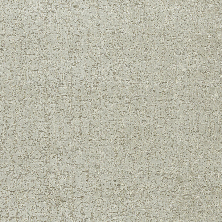 Anguilla Taupe by Clarke And Clarke Fabric CLARKE & CLARKE COLONY VISCOSE - 37.6%;POLYACRYLIC - 35.6%;POLYESTER - 25.3%;LINEN - 1.5% Belgium HEAVY Horizontal: 13.78 and Vertical: 16.93 55 - Fabric Carolina -
