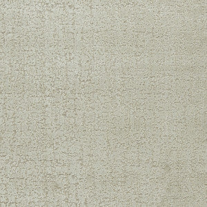 Anguilla Taupe by Clarke And Clarke Fabric