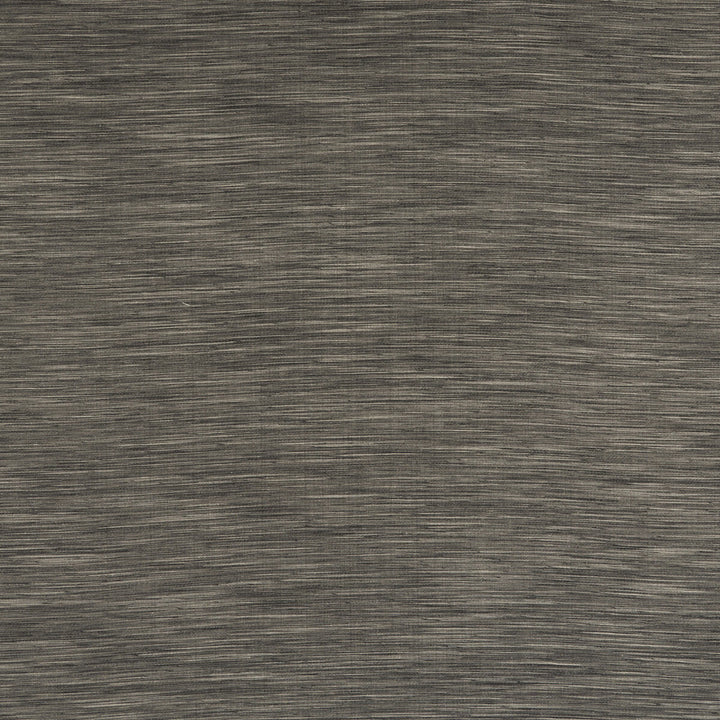 Savannah Graphite by Clarke And Clarke Fabric CLARKE & CLARKE SAVANNAH POLYESTER - 68%;COTTON - 16%;LINEN - 8%;VISCOSE - 8% India Horizontal: 0 and Vertical: 0 54 - Fabric Carolina -