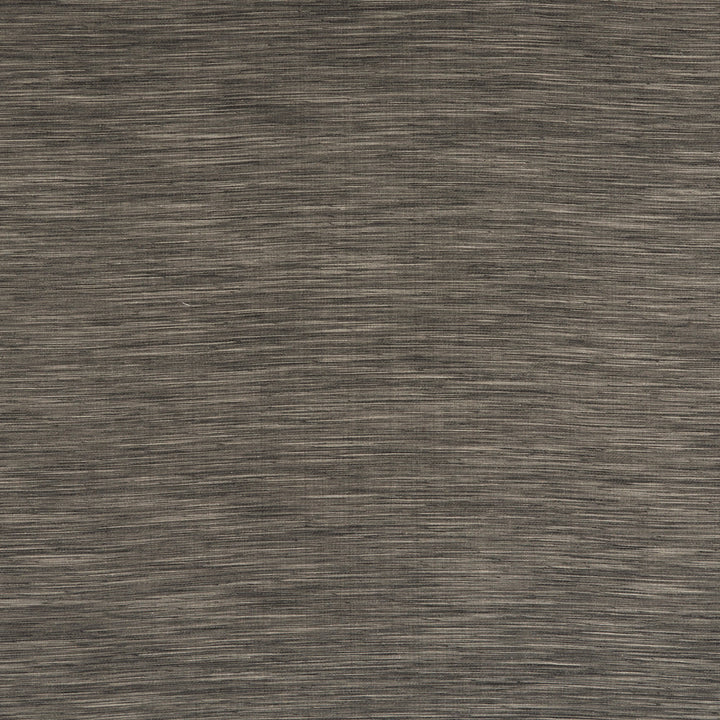 F1003 13 Savannah Graphite by Clarke and Clarke Fabric STUDIO G POLYESTER - 68%;COTTON - 16%;LINEN - 8%;VISCOSE - 8% India  Horizontal: 0 and Vertical: 0 54  - Fabric Carolina -