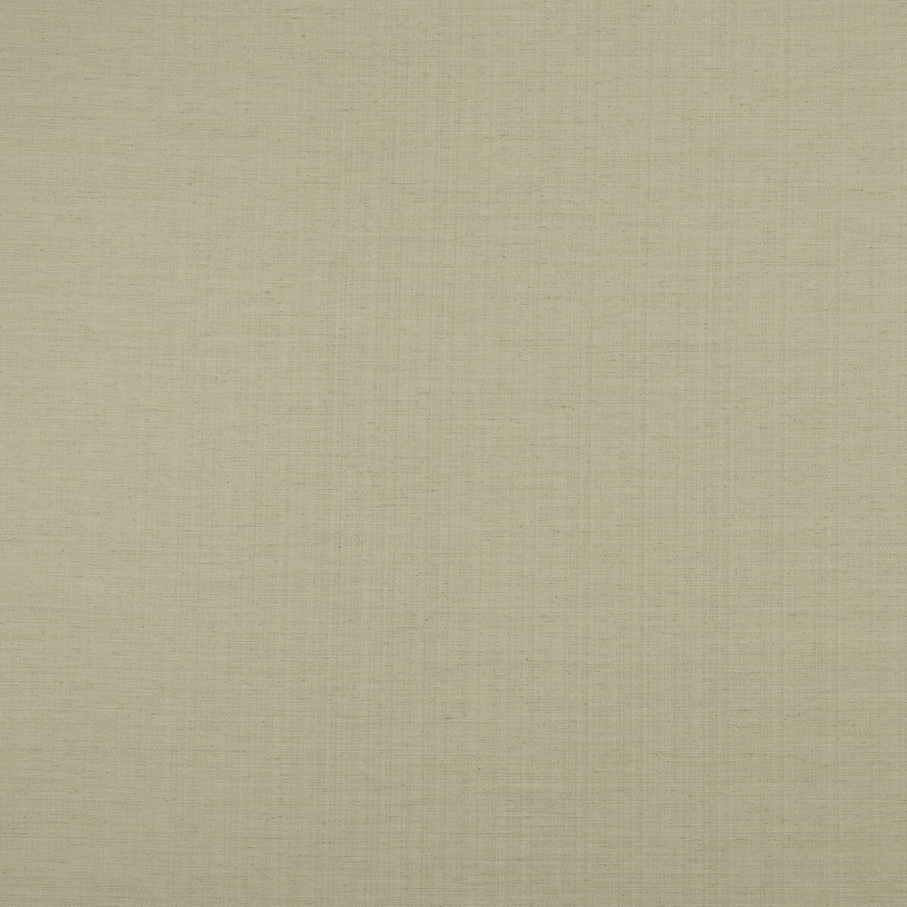 Savannah Natural by Clarke And Clarke Fabric CLARKE & CLARKE SAVANNAH POLYESTER - 68%;COTTON - 16%;LINEN - 8%;VISCOSE - 8% India Horizontal: 0 and Vertical: 0 54 - Fabric Carolina -