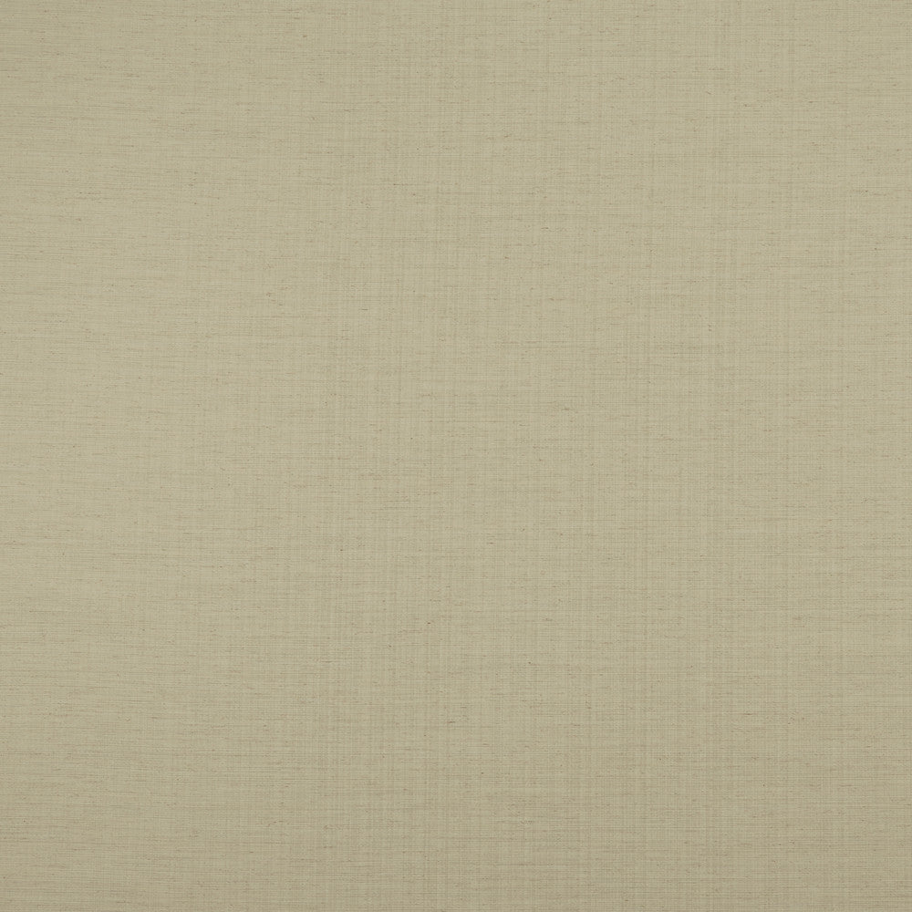 F1003 20 Savannah Natural by Clarke and Clarke Fabric STUDIO G POLYESTER - 68%;COTTON - 16%;LINEN - 8%;VISCOSE - 8% India  Horizontal: 0 and Vertical: 0 54  - Fabric Carolina -