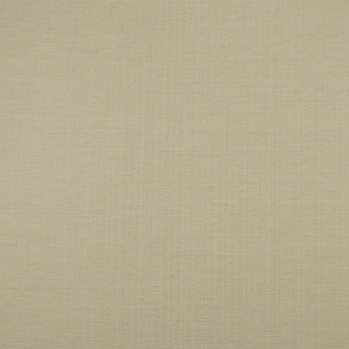 F1003 20 Savannah Natural by Clarke and Clarke Fabric STUDIO G POLYESTER - 68%;COTTON - 16%;LINEN - 8%;VISCOSE - 8% India  Horizontal: 0 and Vertical: 0 54  - Fabric Carolina -