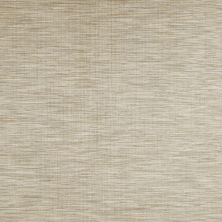 Savannah Oatmeal by Clarke And Clarke Fabric CLARKE & CLARKE SAVANNAH POLYESTER - 68%;COTTON - 16%;LINEN - 8%;VISCOSE - 8% India Horizontal: 0 and Vertical: 0 54 - Fabric Carolina -