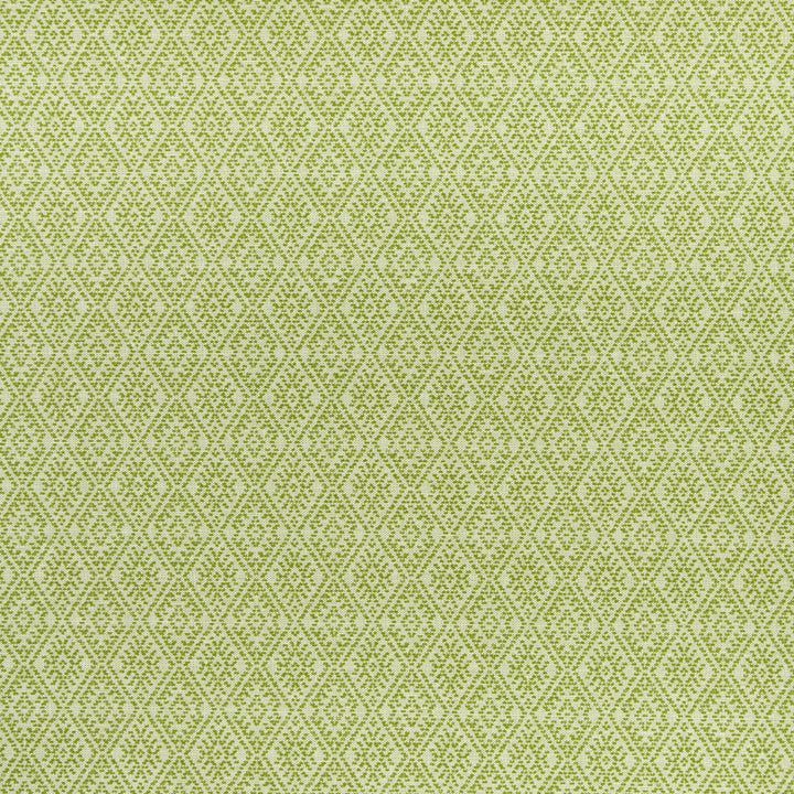 Hampstead Apple by Clarke And Clarke Fabric CLARKE & CLARKE HALCYON COTTON - 64%;POLYESTER - 36% India MEDIUM Horizontal: 3.35 and Vertical: 3.94 54 - Fabric Carolina -