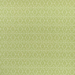 Hampstead Apple by Clarke And Clarke Fabric