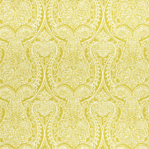 Pastiche Chartreuse by Clarke And Clarke Fabric