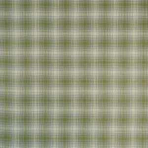 Kahlo Check Olive by Clarke And Clarke Fabric