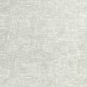 Linum Grey by Clarke And Clarke Fabric