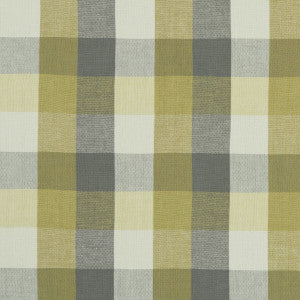 Austin Check Citron/Natural by Clarke And Clarke Fabric