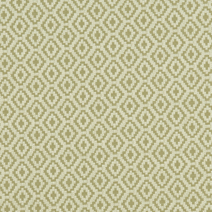 Keaton Olive by Clarke And Clarke Fabric CLARKE & CLARKE CASTLE GARDEN COTTON - 62%;VISCOSE - 28%;LINEN - 7%;POLYESTER - 3% Turkey MEDIUM Horizontal: 2.36 and Vertical: 1.77 54 - Fabric Carolina -