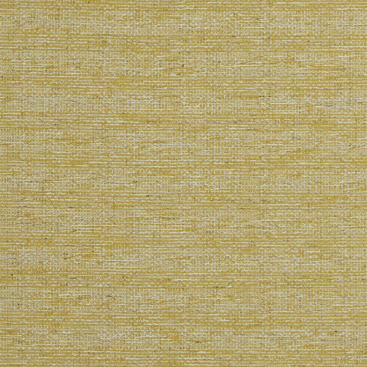 Aldo Chartreuse by Clarke And Clarke Fabric Clarke And Clarke Fabric Aldo ChartreuseFabric CLARKE & CLARKE DELTA POLYESTER - 53%;COTTON - 47% India </p><p>Repeat: H: 0, V: 0 54 - Fabric Carolina -