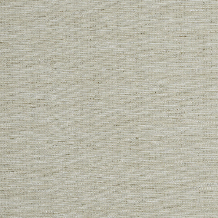 Aldo Natural by Clarke And Clarke Fabric CLARKE & CLARKE DELTA POLYESTER - 53%;COTTON - 47% India Horizontal: 0 and Vertical: 0 54 - Fabric Carolina -
