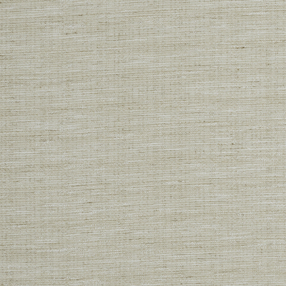 Aldo Natural by Clarke And Clarke Fabric CLARKE & CLARKE DELTA POLYESTER - 53%;COTTON - 47% India - Horizontal: 0 and Vertical: 0 54 - Fabric Carolina -