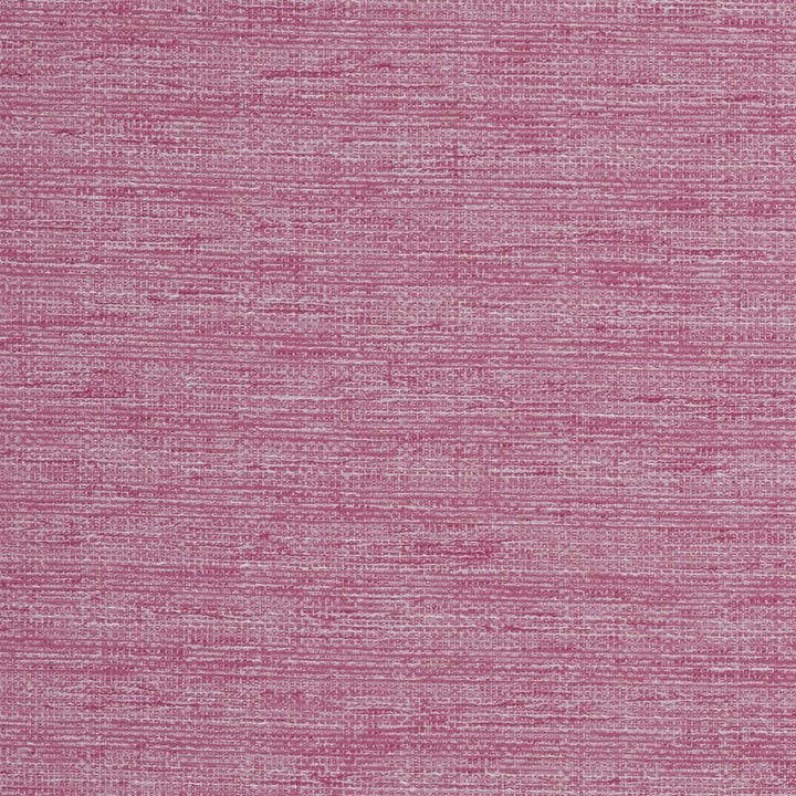 Aldo Raspberry by Clarke And Clarke Fabric Clarke And Clarke Fabric Aldo RaspberryFabric CLARKE & CLARKE DELTA POLYESTER - 53%;COTTON - 47% India </p><p>Repeat: H: 0, V: 0 54 - Fabric Carolina -