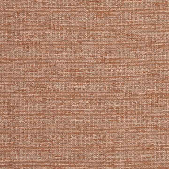 Aldo Spice by Clarke And Clarke Fabric CLARKE & CLARKE DELTA POLYESTER - 53%;COTTON - 47% India Horizontal: 0 and Vertical: 0 54 - Fabric Carolina -