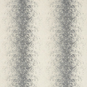 Pallas Charcoal by Clarke And Clarke Fabric