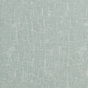 Birch Mineral by Clarke And Clarke Fabric