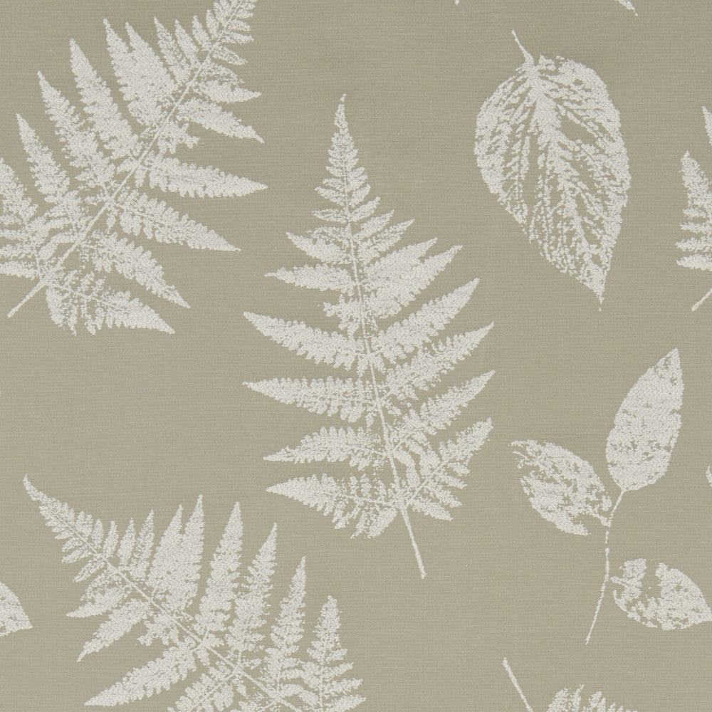 Foliage Taupe by Clarke And Clarke Fabric CLARKE & CLARKE ORGANICS POLYESTER - 72%;COTTON - 28% India Horizontal: 13.58 and Vertical: 25.2 54 - Fabric Carolina -